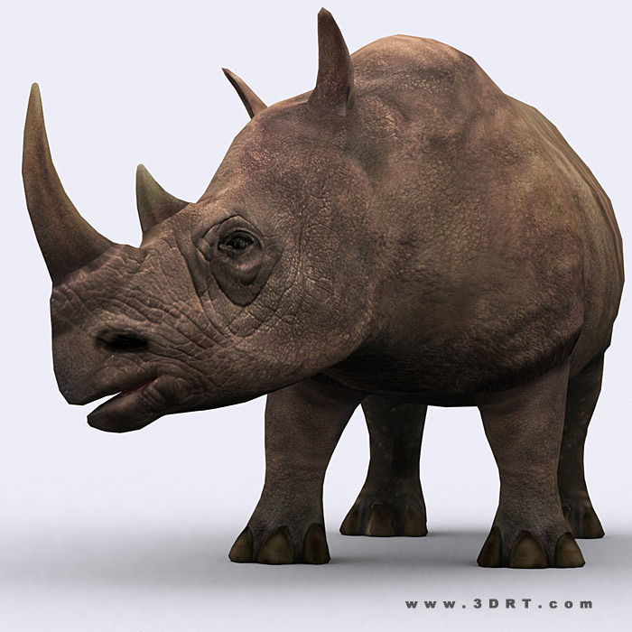 rhinoceros 5 free download
